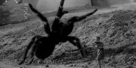 The Incredible Shrinking Man